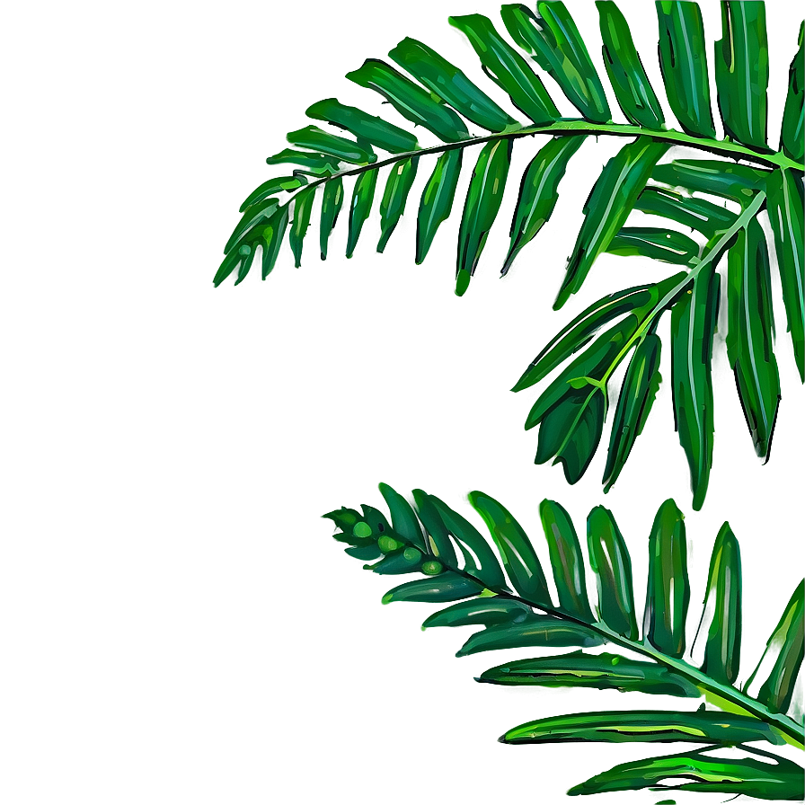 Palm Leaves Outline Png 84