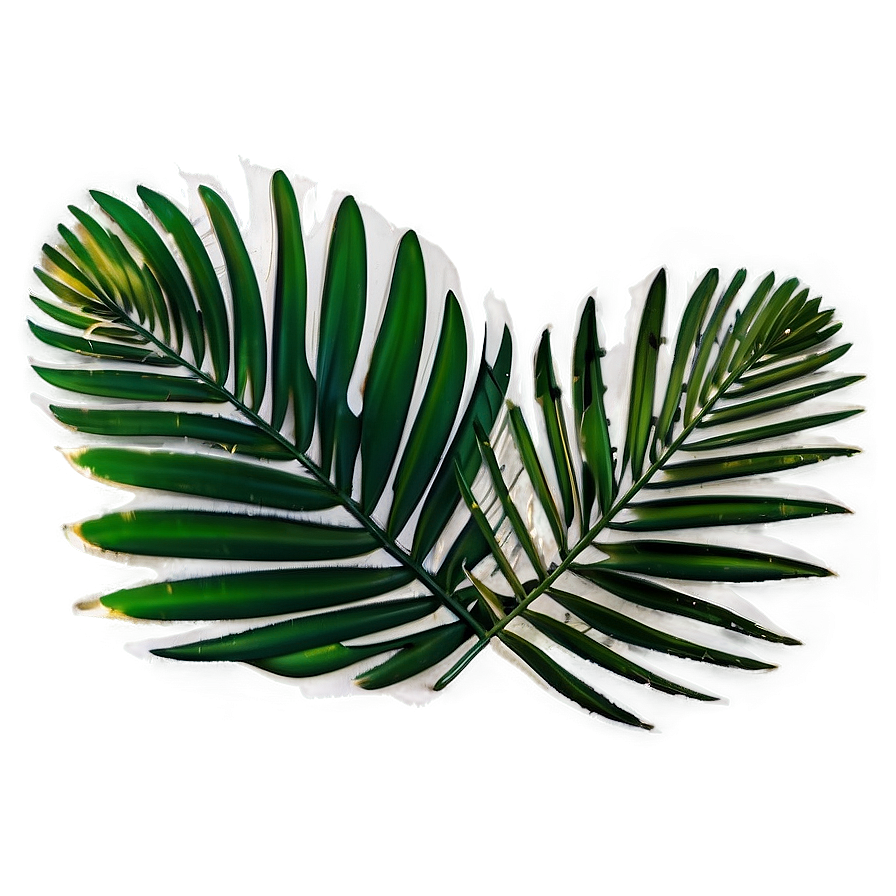 Palm Leaves Overlay Png Eih