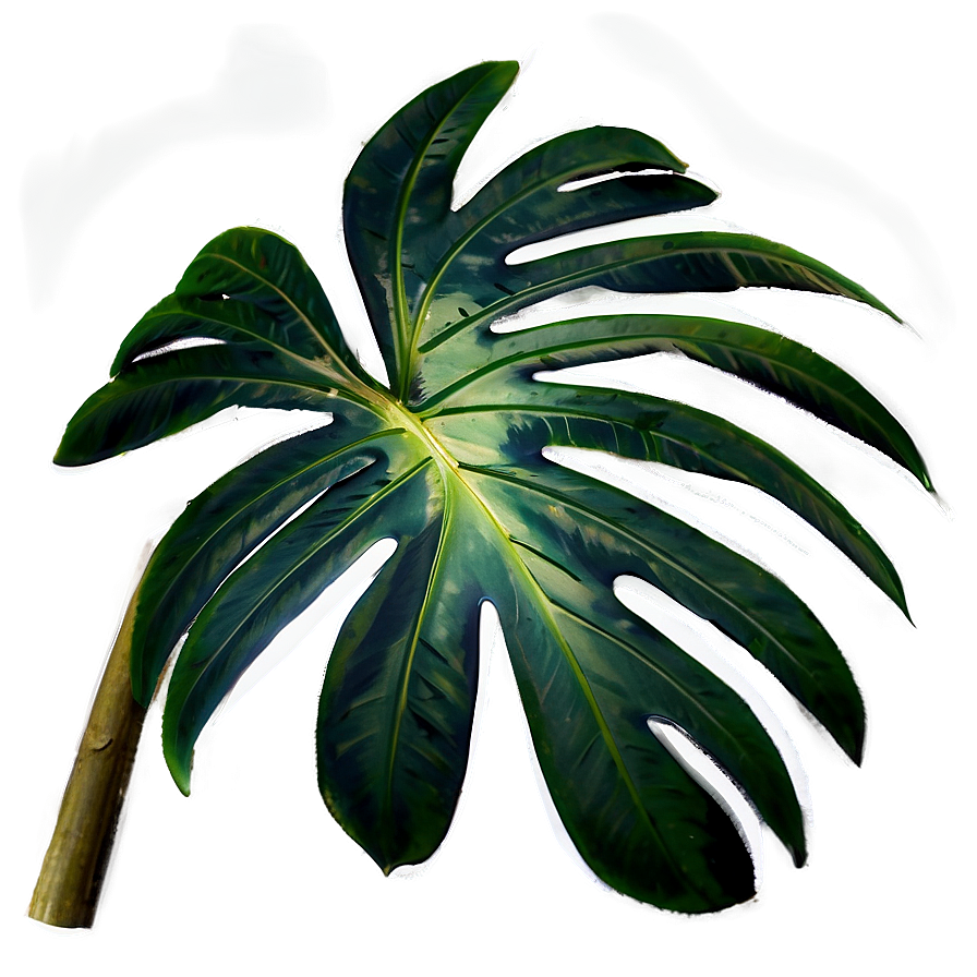 Palm Leaves Overlay Png Jxj