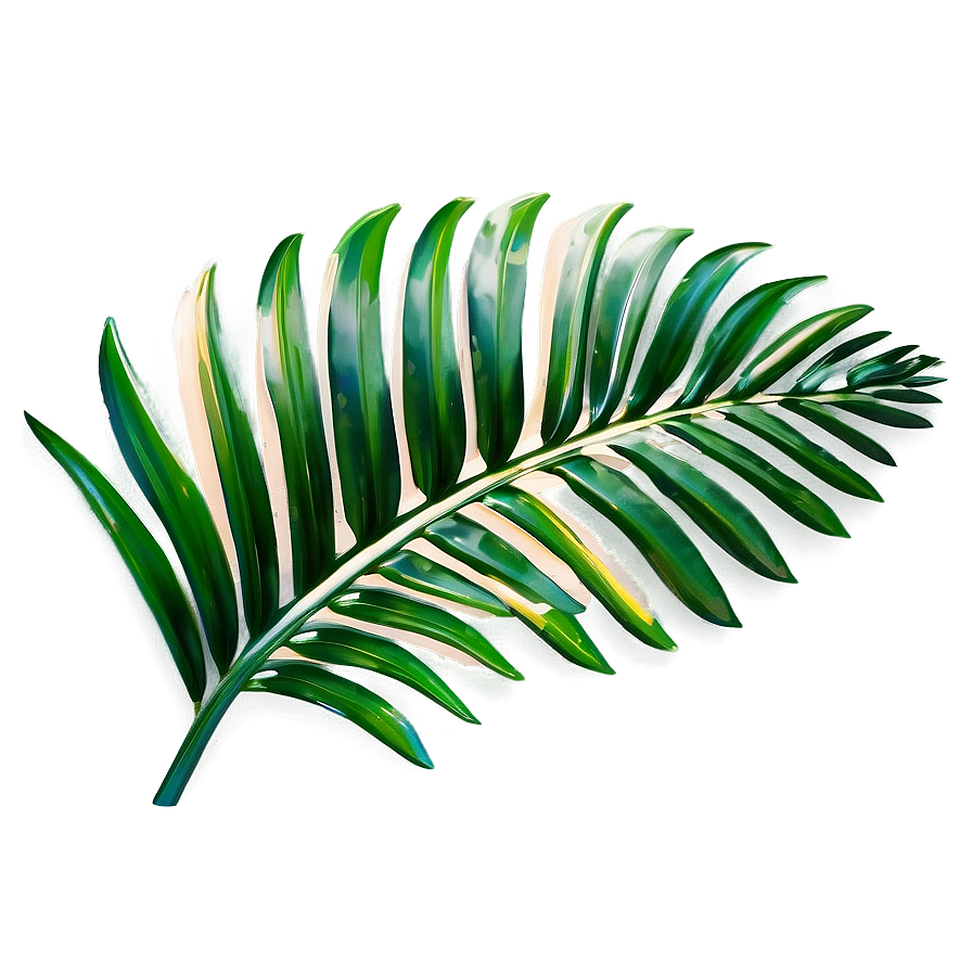 Palm Leaves Overlay Png Mnm78