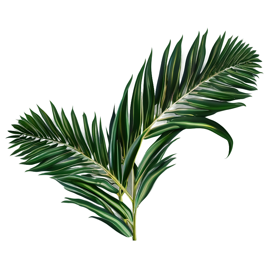 Palm Leaves Print Png 05252024