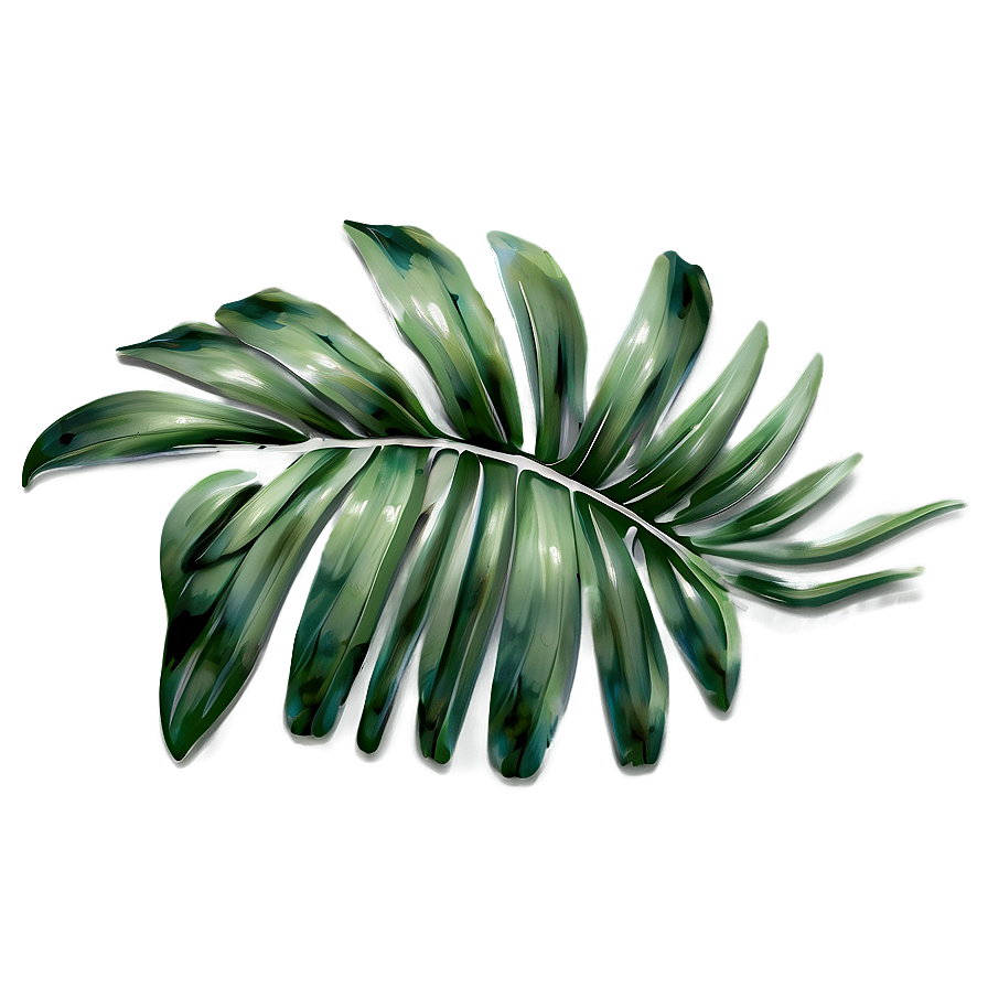 Palm Leaves Print Png 05252024