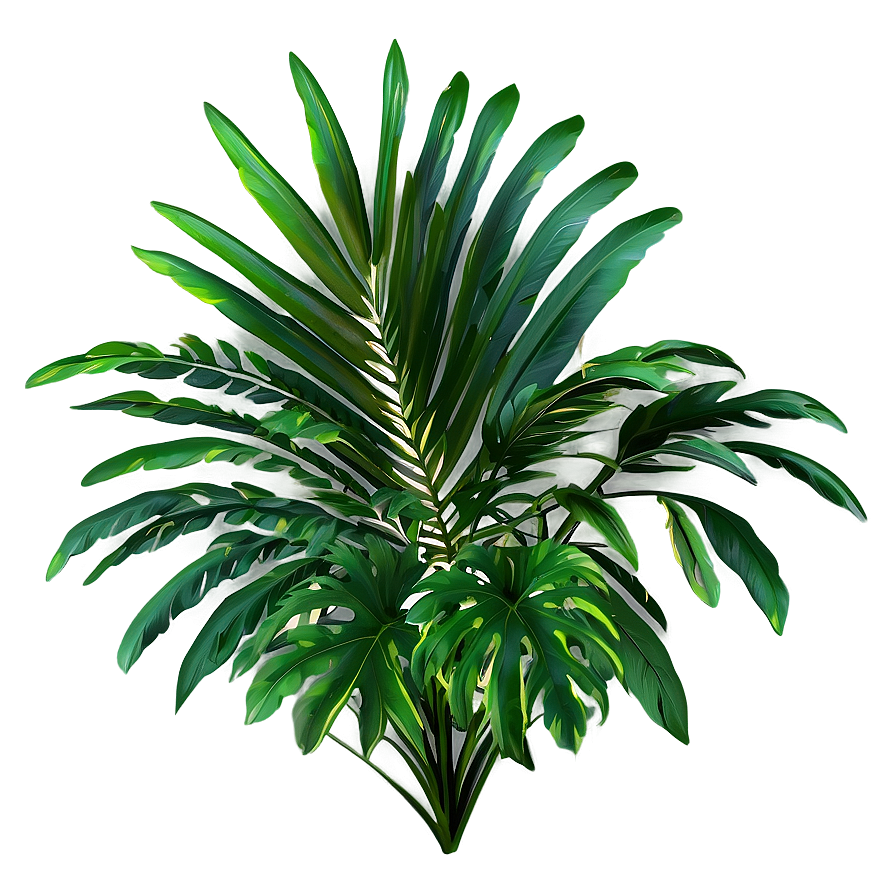 Palm Leaves Seamless Png Cxk5