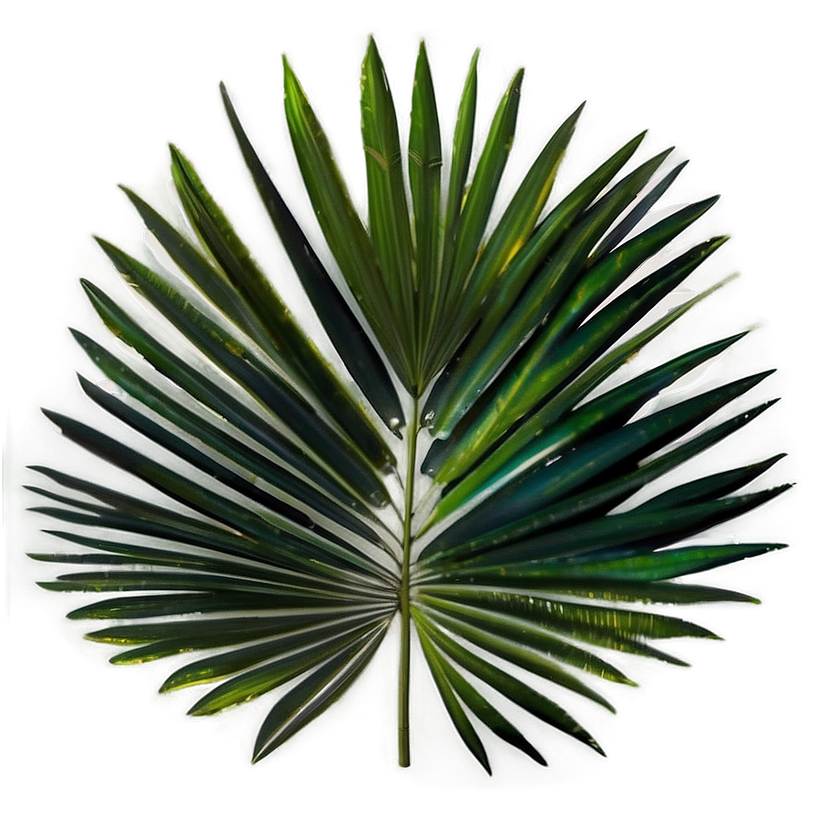 Palm Leaves Seamless Png Xnp8