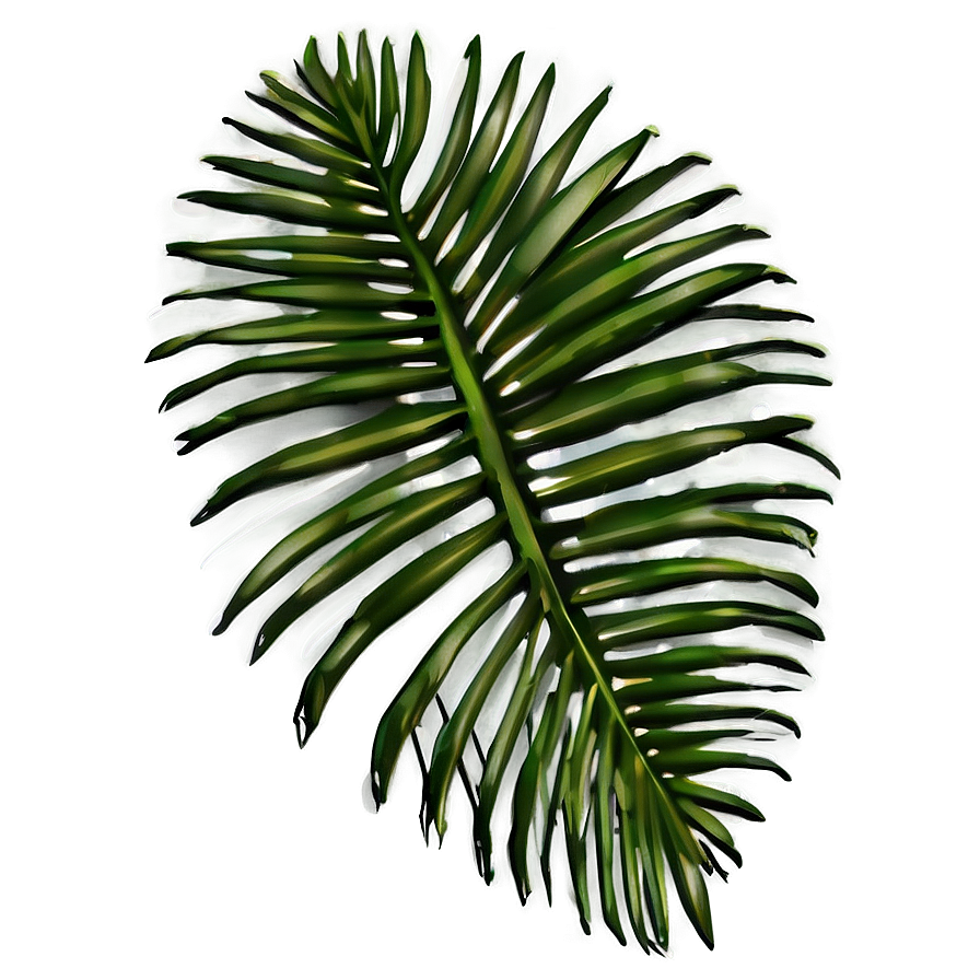 Palm Leaves Silhouette PNG utl82 PNG with transparent background