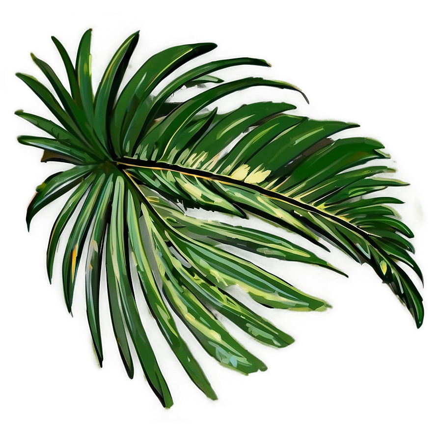 Palm Leaves Sketch Png 05252024