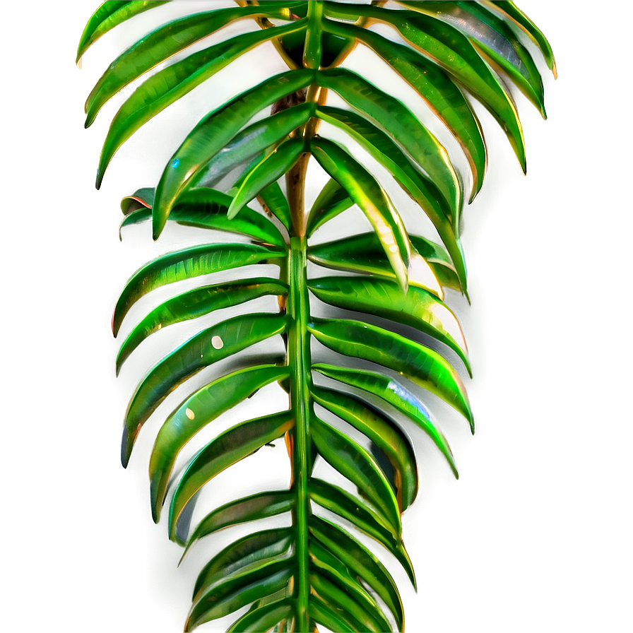 Palm Leaves Texture Png Wsb