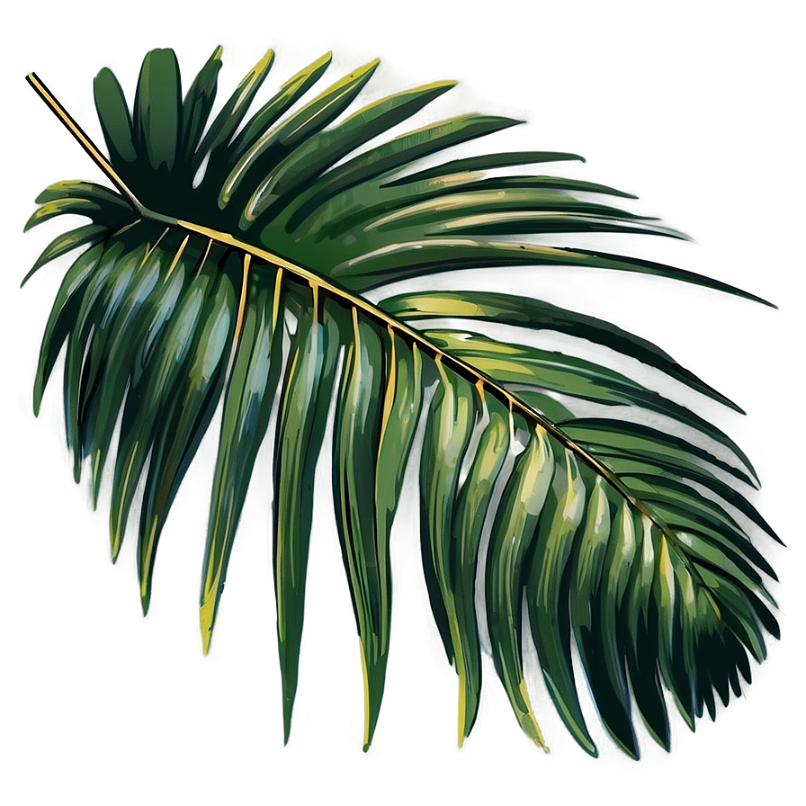 Palm Leaves Vector PNG rdu63 PNG with transparent background