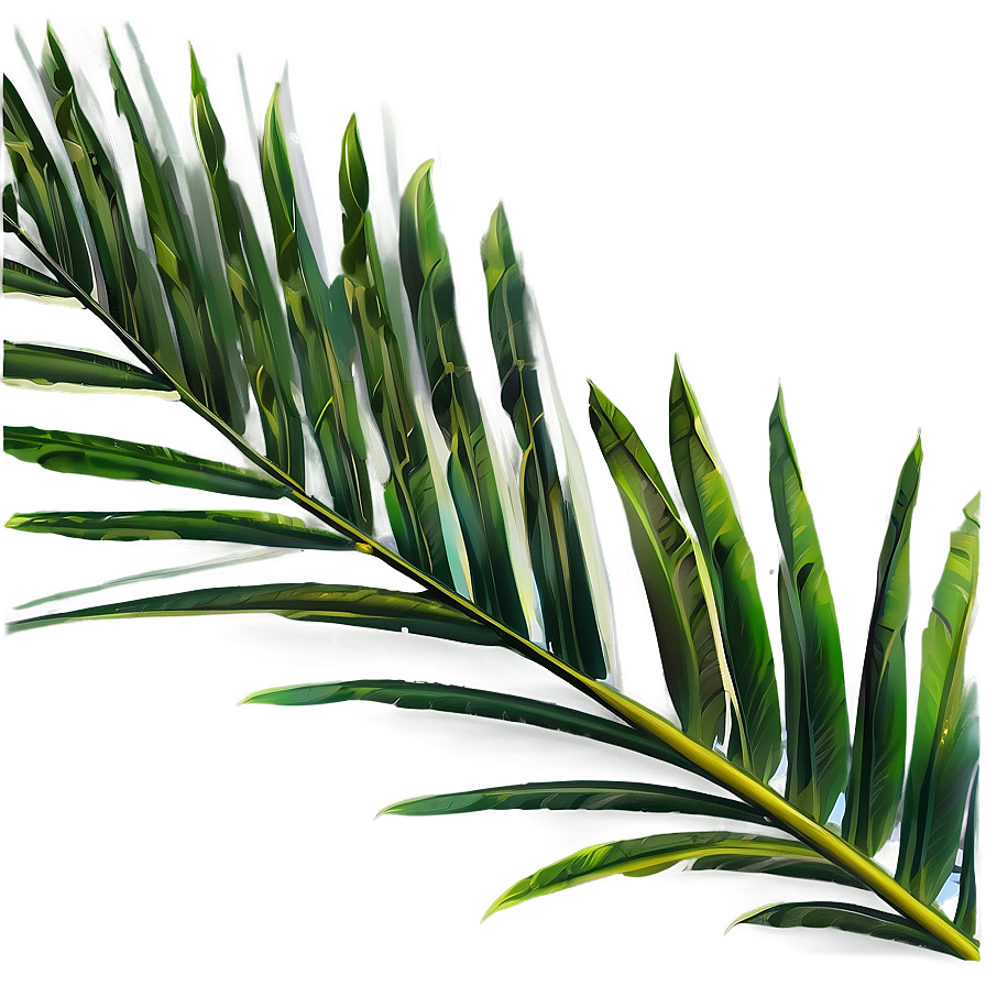 Palm Leaves Wallpaper Png 05252024