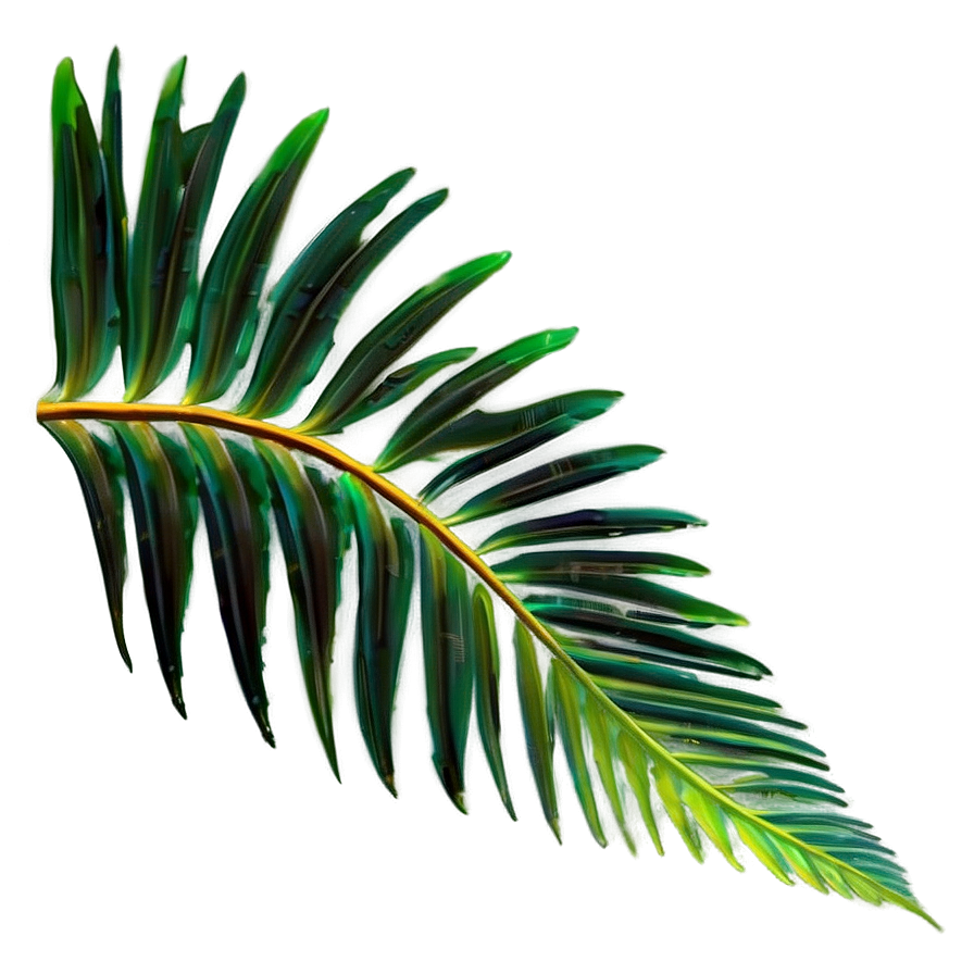 Palm Leaves Wallpaper Png 88