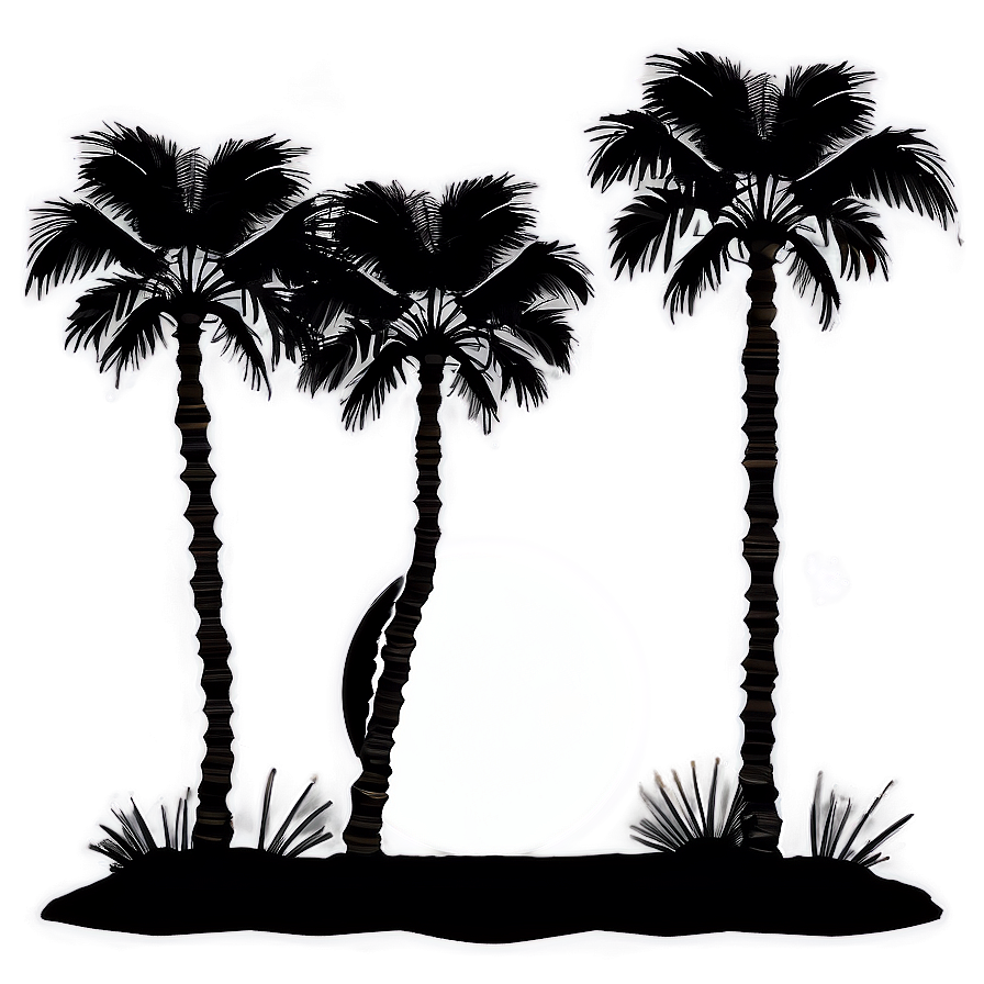 Palm Tree Night Silhouette Png Whd