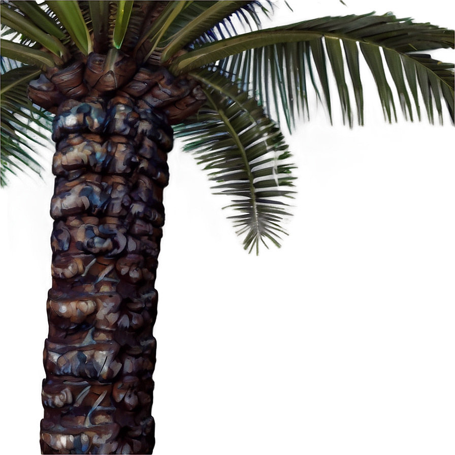 Palm Tree Vacation Png 88