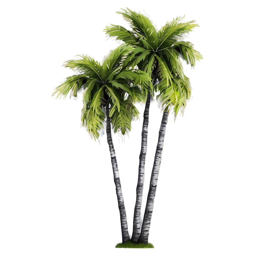 Palm Trees Landscape Png Fql