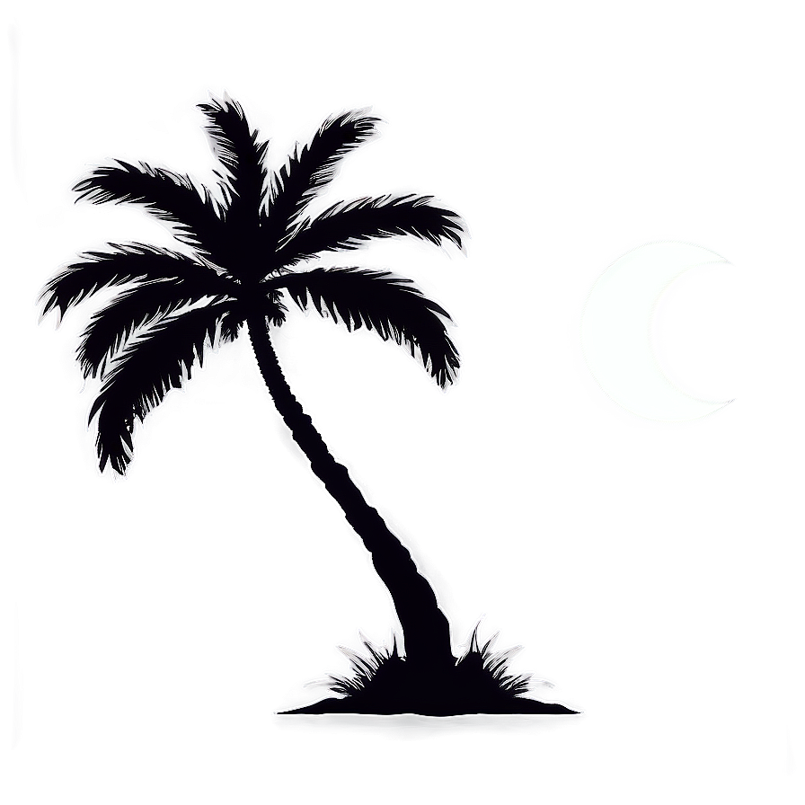 Palm Trees With Moon Png Tus