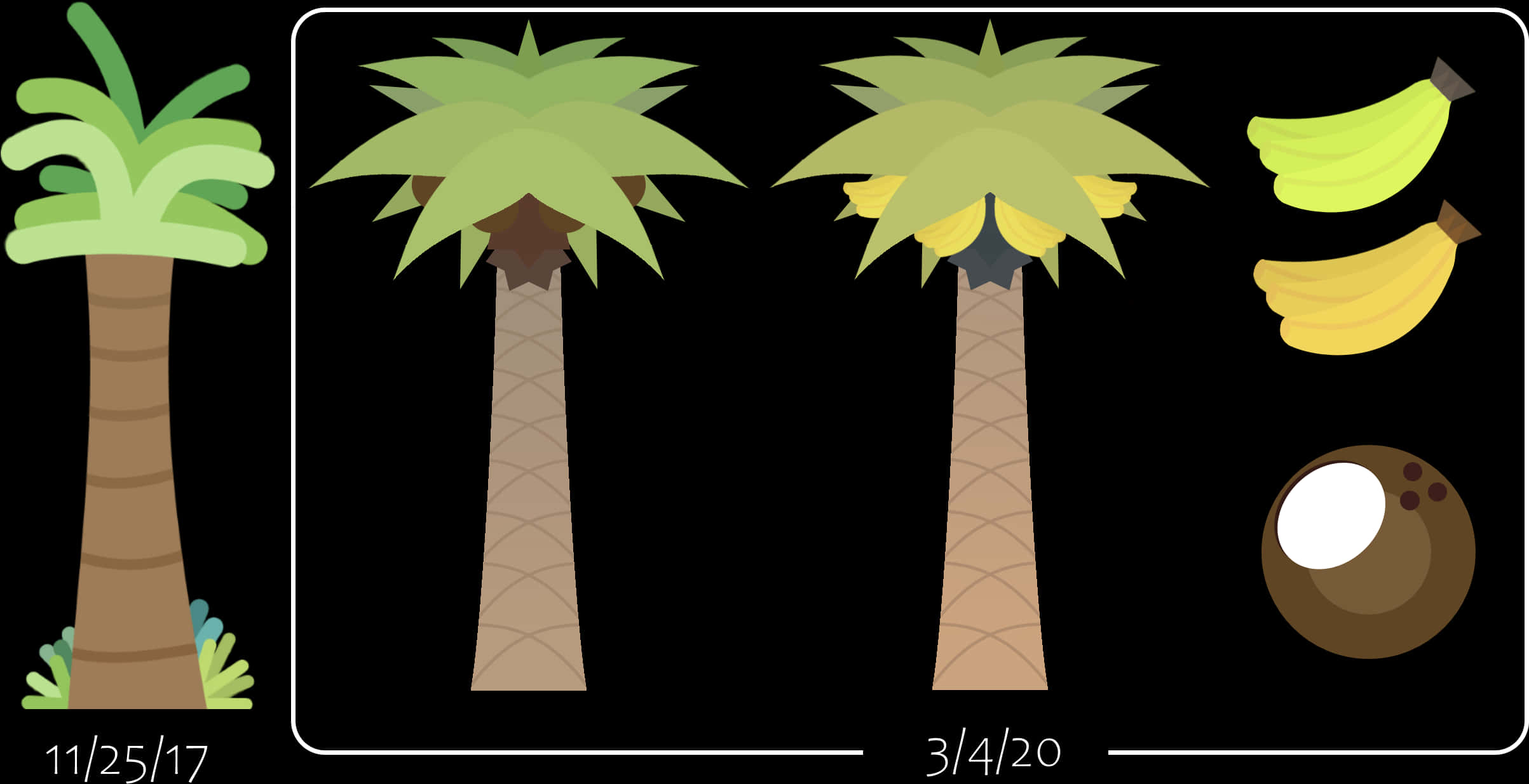 Palm Treesand Products Illustration