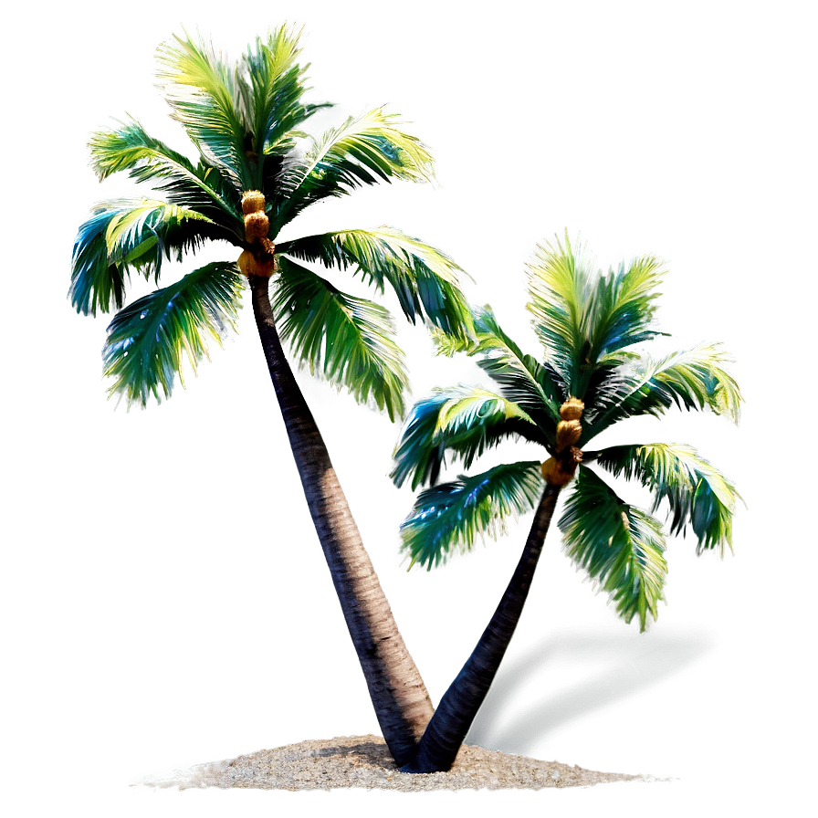 Palms And Ocean Breeze Png Hdj