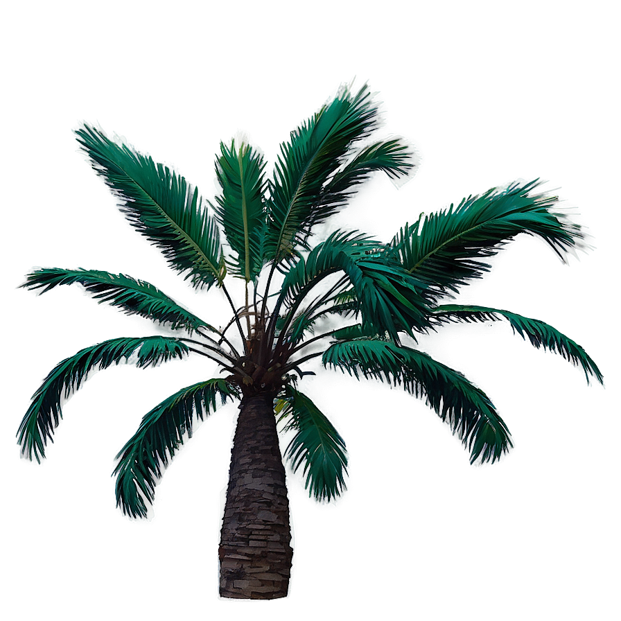 Palms With Birds Png 34