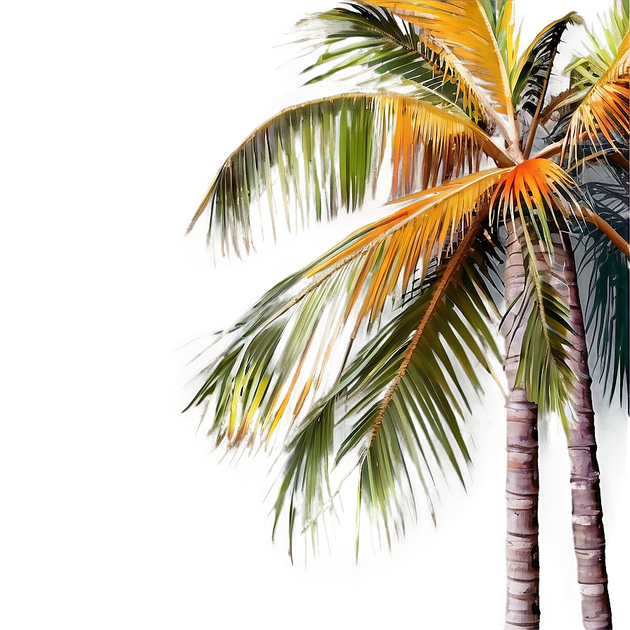 Palms With Sunset Colors Png Rfr29