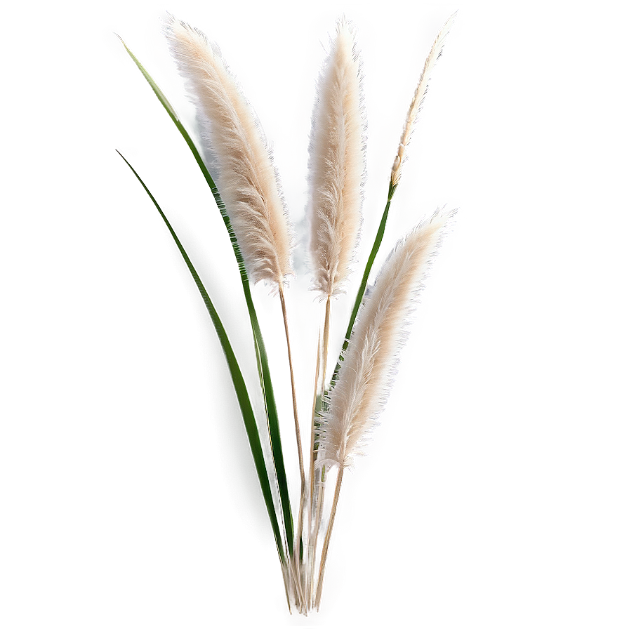 Pampas Grass Bundle Png 06122024