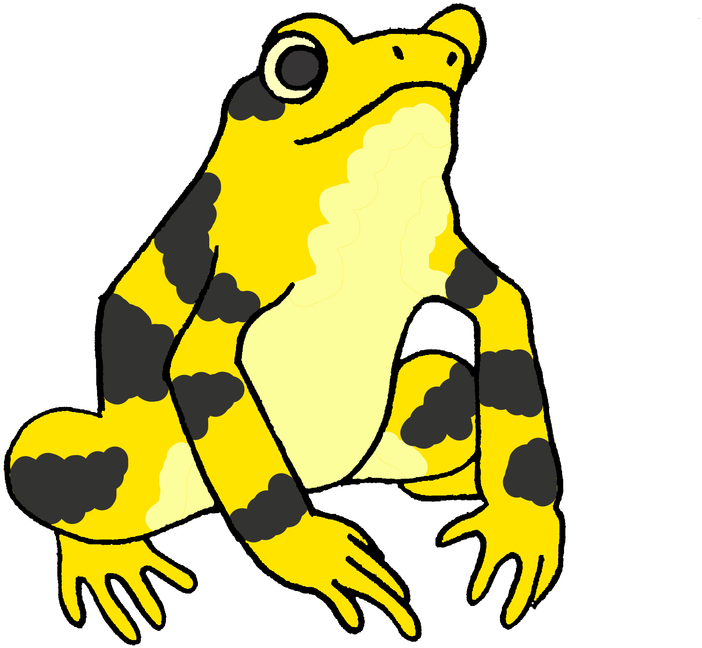 Panamanian Golden Frog Illustration