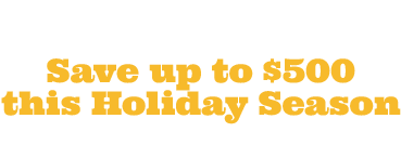 Panasonic Lumix Holiday Sale Promotion2018