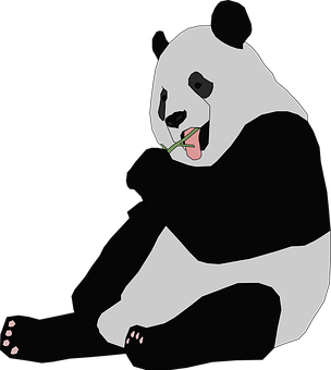 Panda Eating Bamboo PNG with transparent background