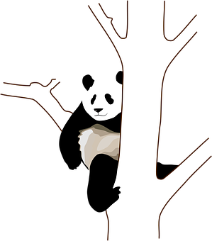 Panda Peeking Behind Tree