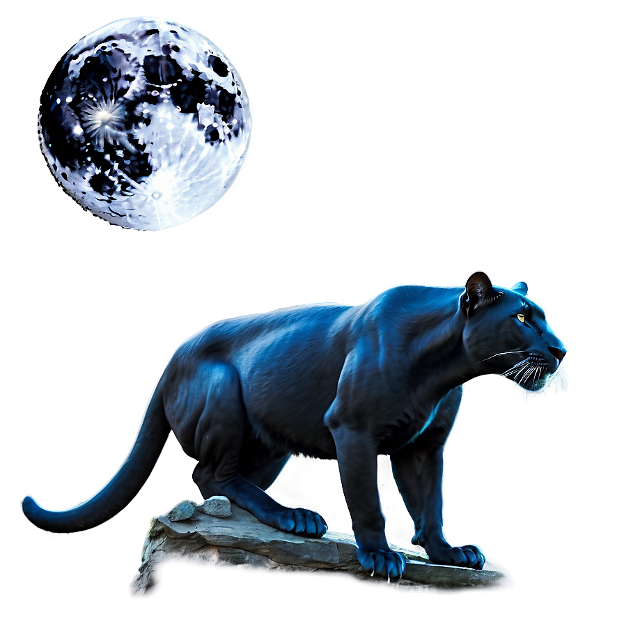 Panther In Moonlight Png 64