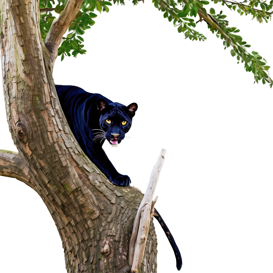 Panther In Tree Png 11