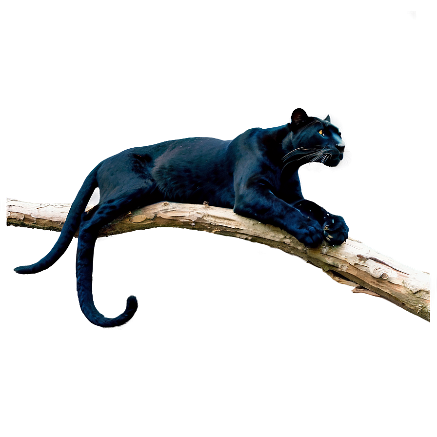 Panther On Branch Png Edn