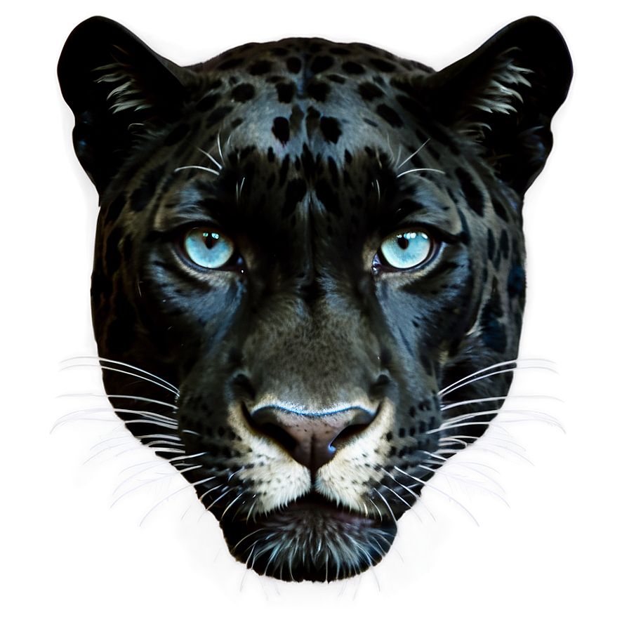 Panther Print Png Luj26