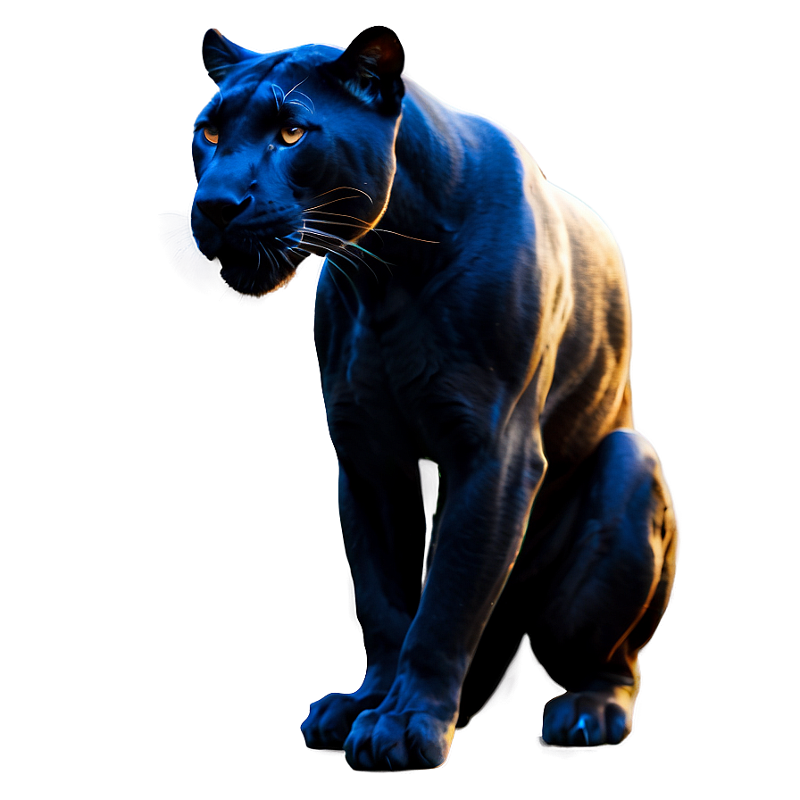 Panther Sketch Png 67