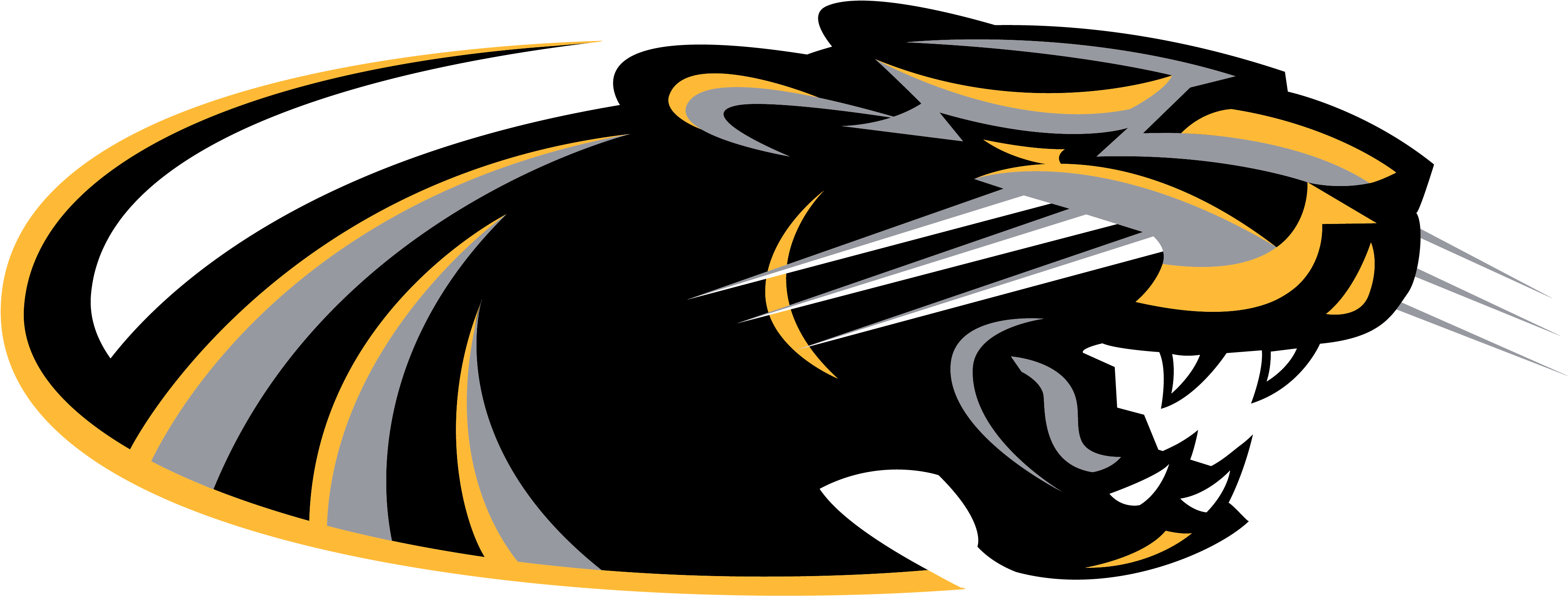 Panthers Team Logo