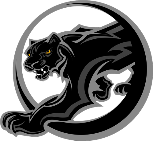 Panthers Team Logo