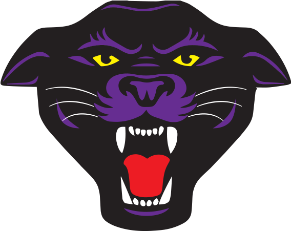 Panthers Team Logo