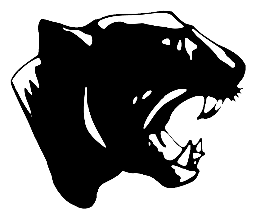 Panthers Team Logo Silhouette