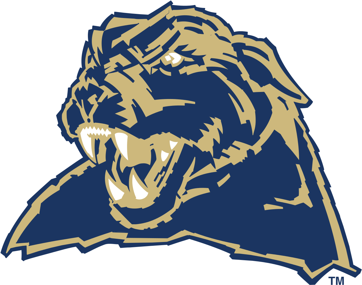 Panthers Team Logo