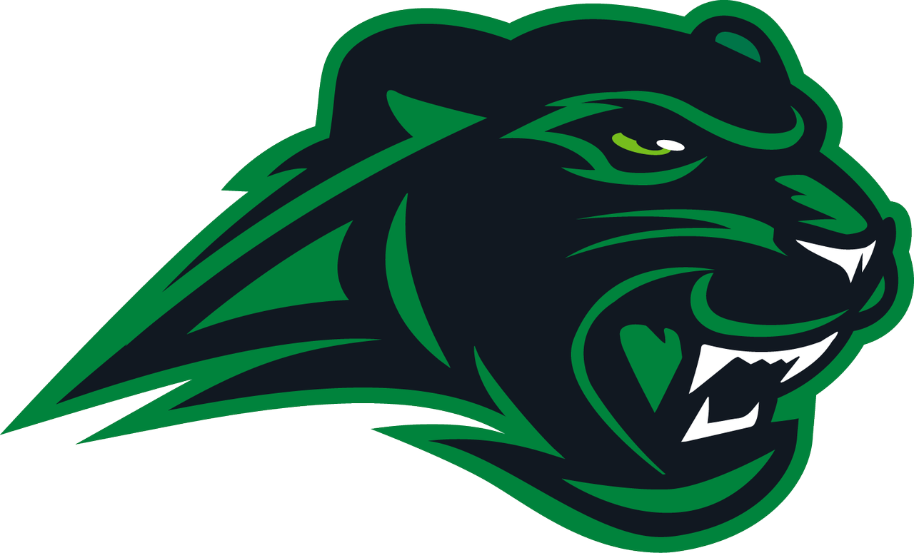 Panthers Team Logo