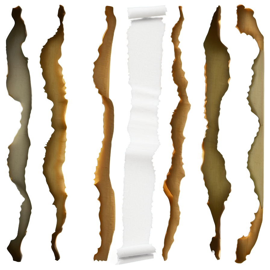 Paper Rip Vector Png 05252024