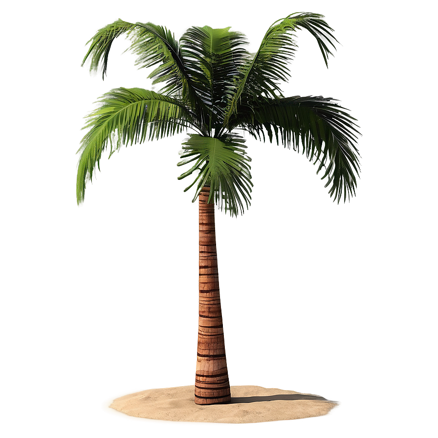 Paradise Beach Palms Png Exe34