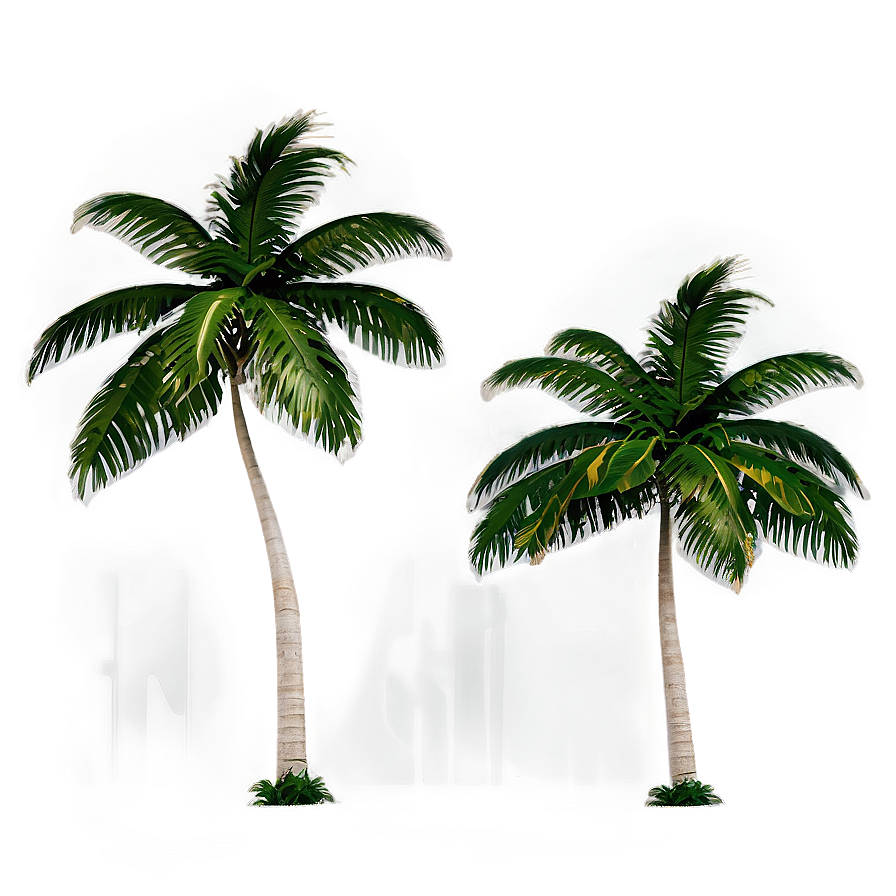 Paradise Beach Palms Png Run58