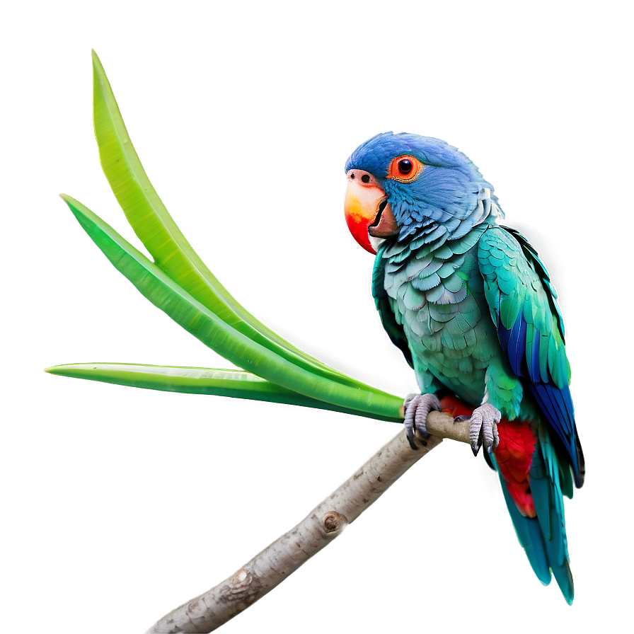 Parrot Care Png 05242024