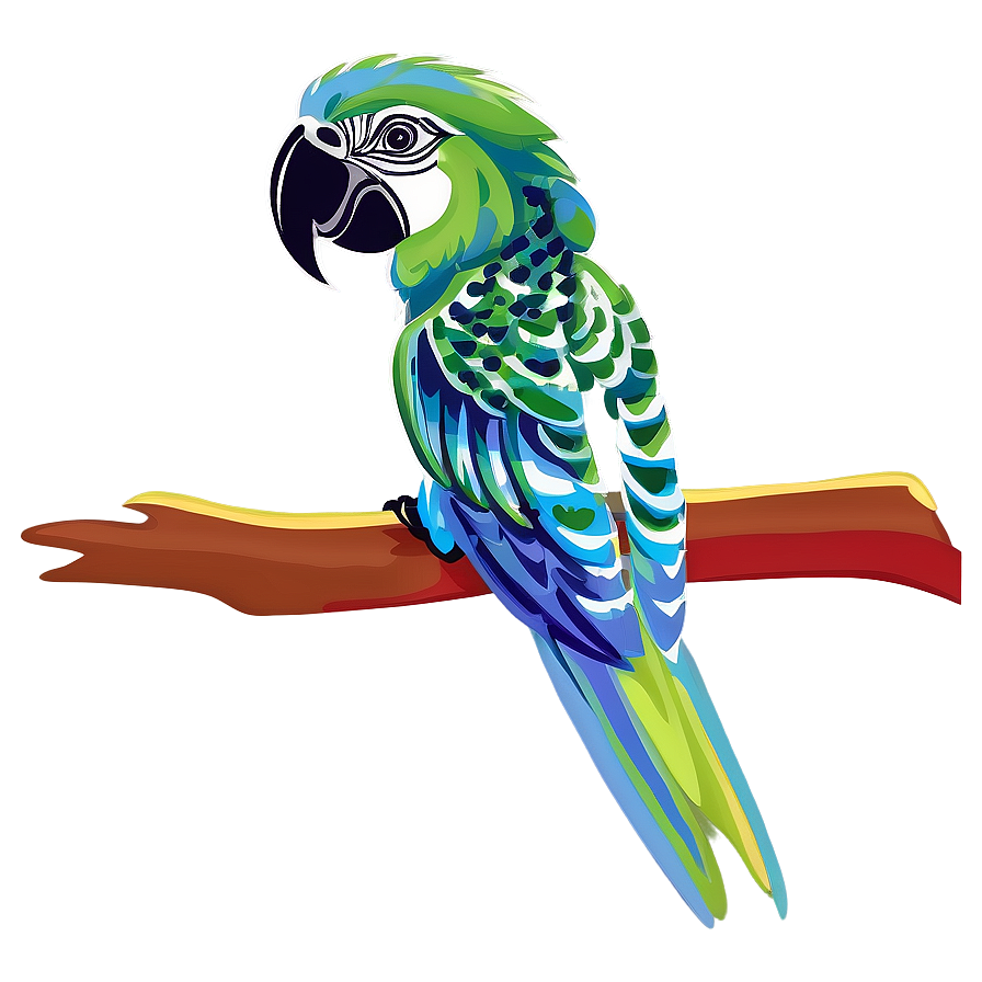 Parrot Illustration Png 66