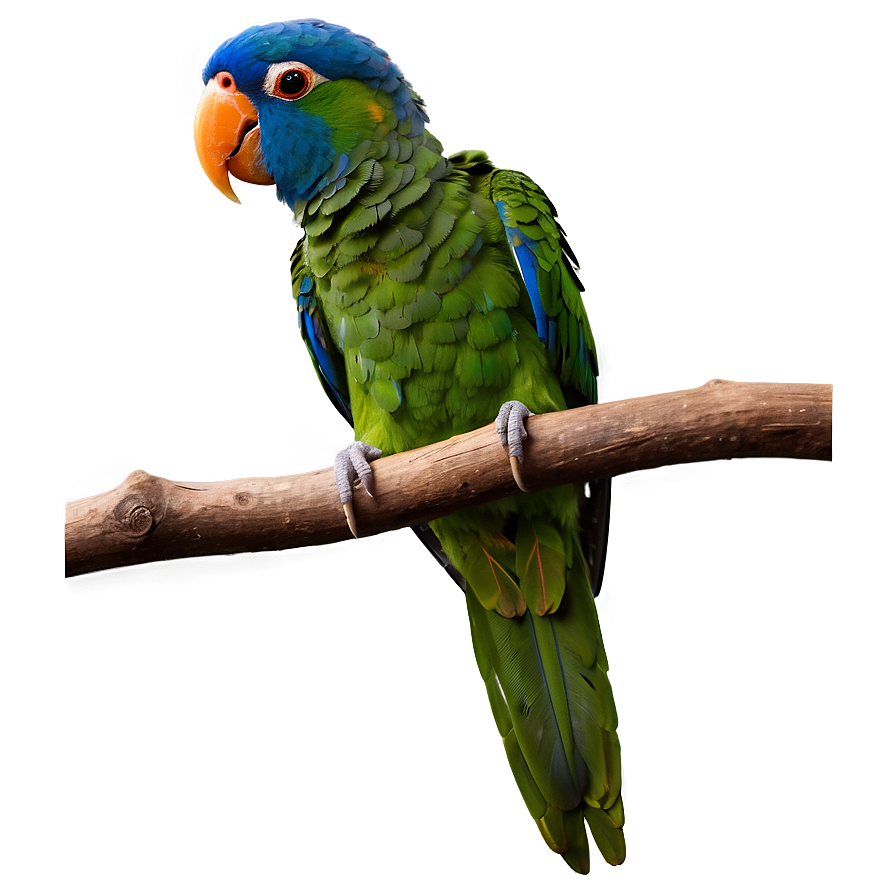 Parrot On Branch Png 05242024