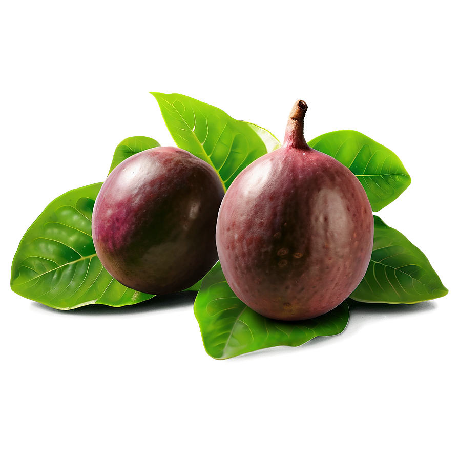 Passion Fruit Seedling Plant Png Ruv69