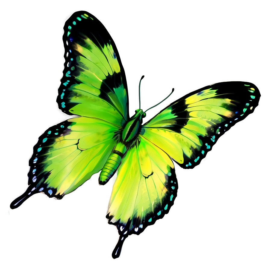 Pastel Green Butterfly Png 06202024