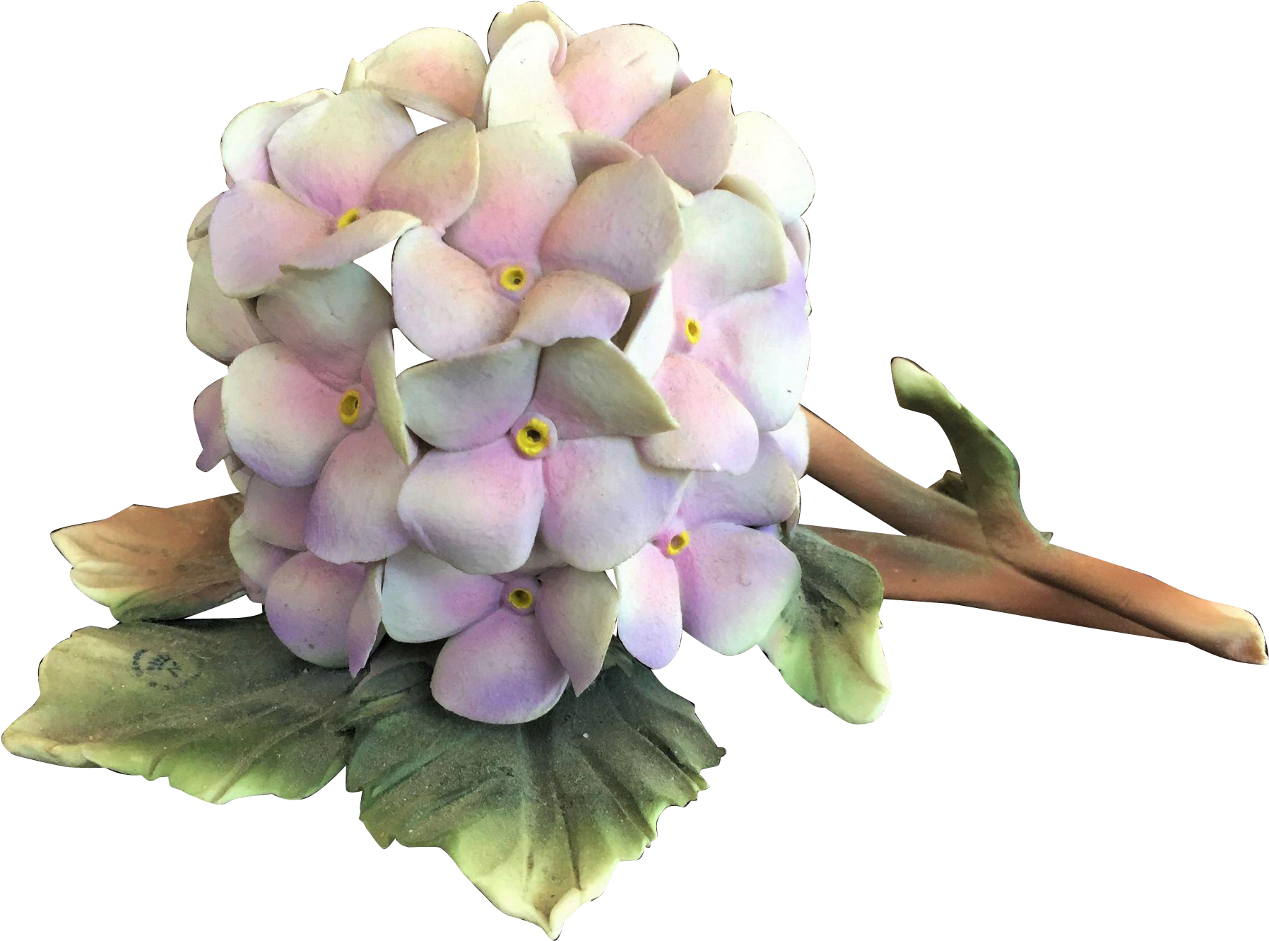 Transparent Hydrangea Vintage, HD Png Download PNG with transparent background