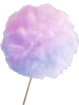 Peony PNG with transparent background