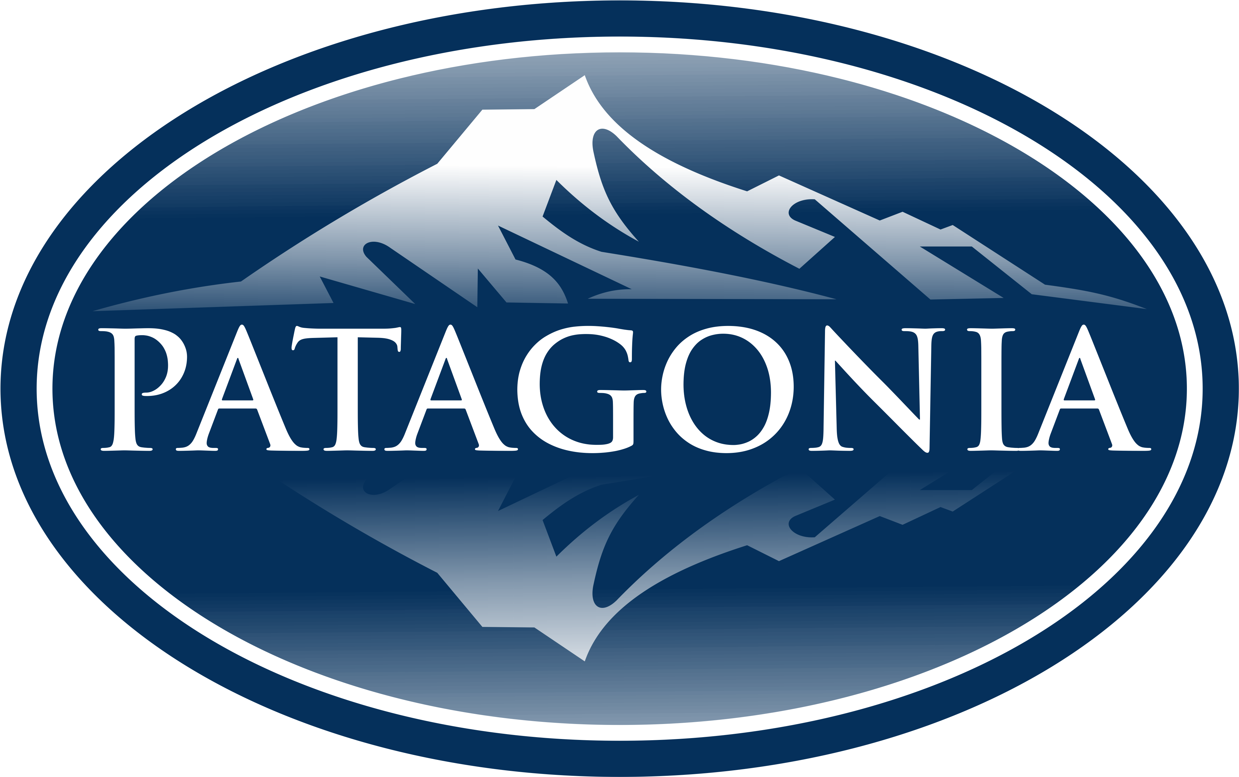 Patagonia Logo Design