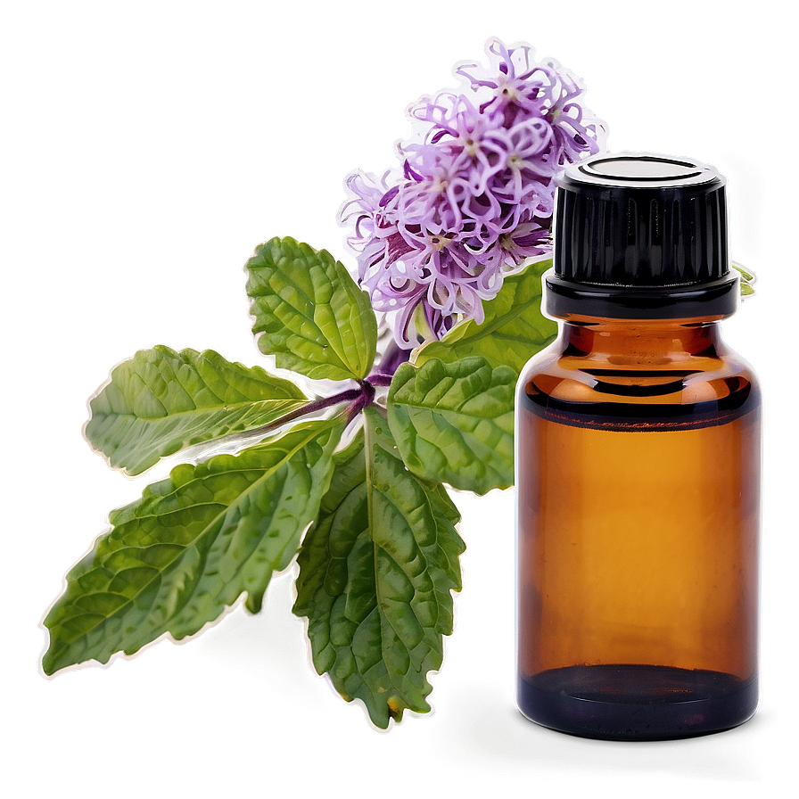 Patchouli Essential Oil Png Jap